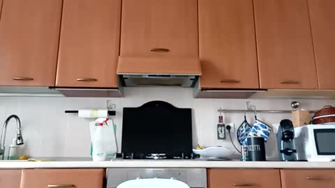 jojo19844 online show from March 6, 1:19 pm