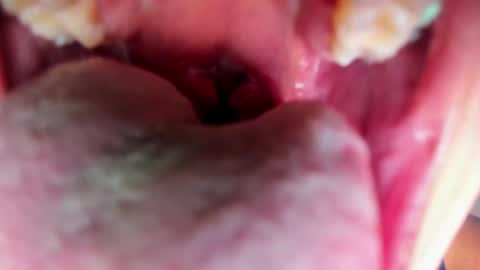 jordan online show from February 12, 7:20 pm