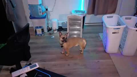 Josef online show from April 17, 5:21 am