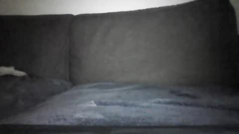 Hentai Jo online show from December 12, 7:15 pm