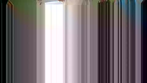 joseph719999 online show from October 1, 11:19 pm
