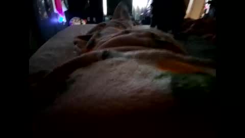 joshjfun online show from April 14, 3:33 pm