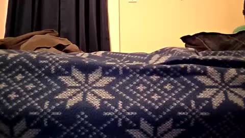 joshua2385 online show from March 22, 3:33 am