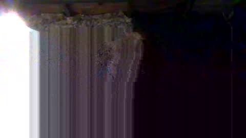 Jsmitty40 online show from February 6, 9:39 am