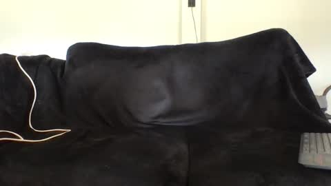 juanmamestre94 online show from February 27, 2:39 pm