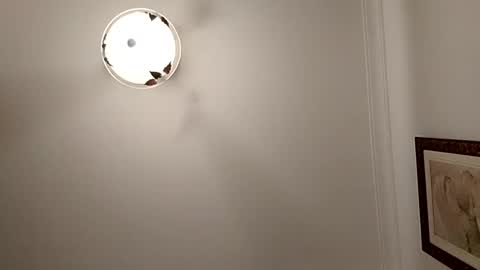 JuanmaSEX online show from January 5, 2:38 am