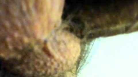 Juan online show from May 13, 11:13 pm