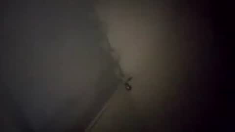 Carlos online show from January 12, 8:14 am