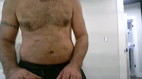 jumpertpro online show from May 10, 3:13 pm