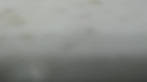 Dave online show from May 4, 1:24 pm