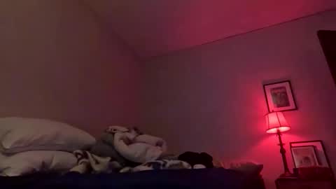 justanimals online show from October 28, 5:10 am