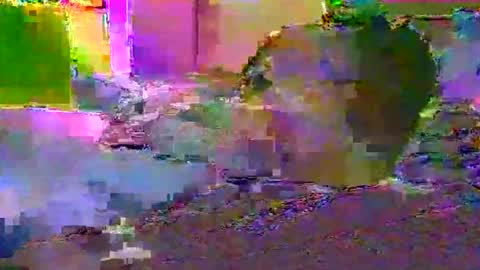 Techno Nymph online show from March 3, 2:41 am