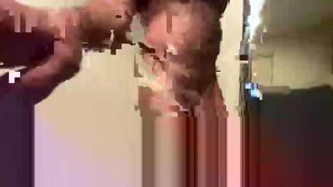 Snapshot of juuneet chatting on October 25, 11:23 am juuneet online show from October 25, 11:23 am