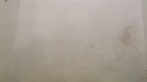 Kai online show from March 21, 6:56 pm