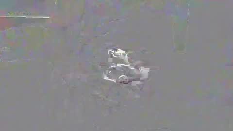 kinkycamswitch online show from January 29, 11:04 pm