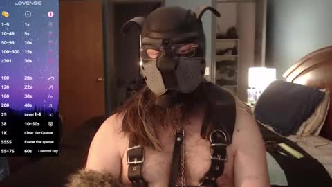Snapshot of kinkywolf87 chatting on February 2, 9:56 pm kinkywolf87 online show from February 2, 9:56 pm