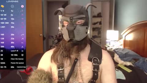 Snapshot of kinkywolf87 chatting on February 27, 6:42 pm kinkywolf87 online show from February 27, 6:42 pm