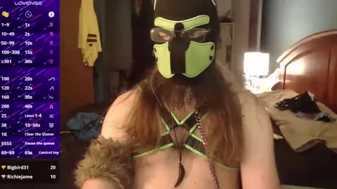 Snapshot of kinkywolf87 chatting on September 17, 3:46 pm kinkywolf87 online show from September 17, 3:46 pm