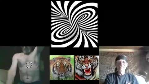 kodiakpm1 online show from April 30, 8:16 pm