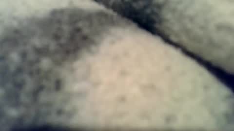 kolo679754253457 online show from May 28, 6:15 am