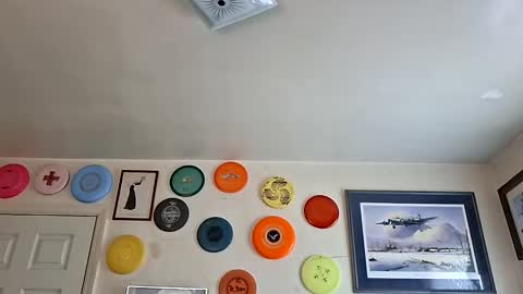 kp633 online show from November 4, 6:31 pm