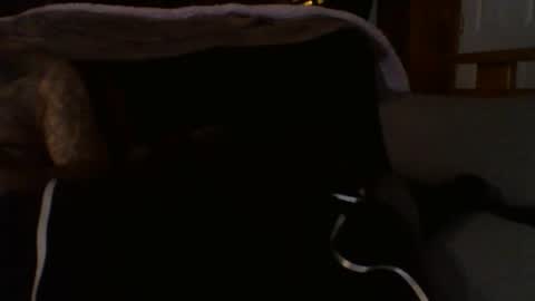 kshies4220 online show from January 9, 5:34 am