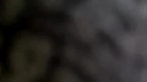 Mexakin online show from April 22, 1:34 am