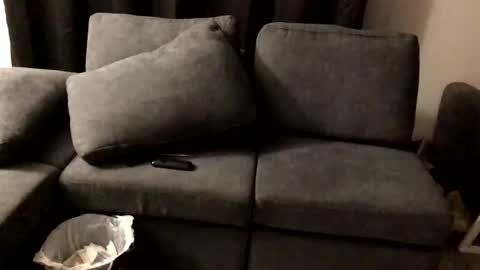 leader328398 online show from September 14, 10:50 am