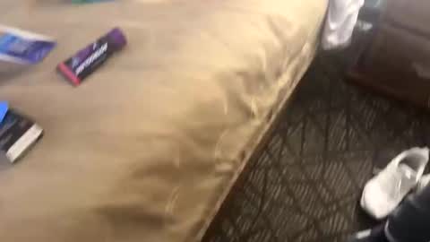 leearonn12 online show from February 1, 10:03 am