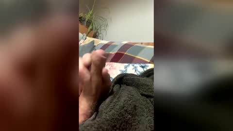 leicester1979 online show from February 7, 12:40 am