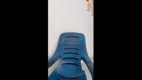 leo_latino1 online show from March 9, 6:46 pm