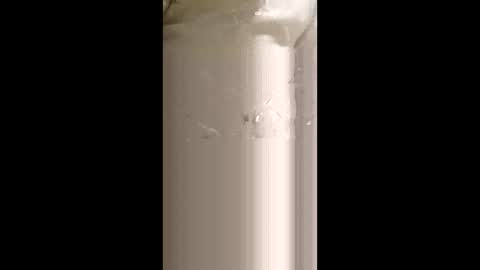 levis501bandant online show from January 15, 2:37 am