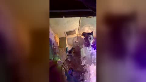 lexmaxx online show from January 11, 9:51 pm