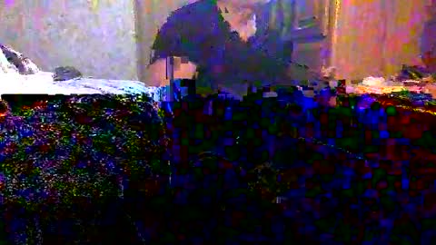 Snapshot of lgck12in chatting on March 7, 7:19 am C2bme online show from March 7, 7:19 am