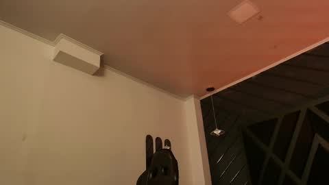 LIAM KLEIN online show from April 27, 11:29 am