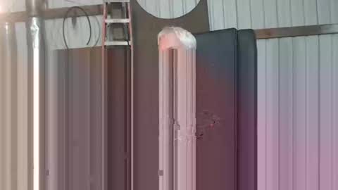 lictiswrc69 online show from October 21, 1:20 am