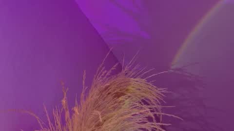 Liiam Luna online show from January 17, 9:23 am