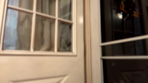 Hotty online show from January 7, 9:36 am