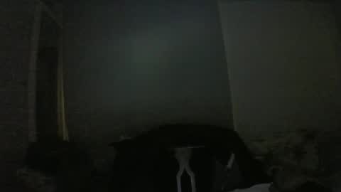 Snapshot of lily_lovelyman_ chatting on January 9, 6:57 pm lily lovelyman online show from January 9, 6:57 pm
