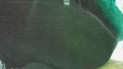 Snapshot of lily_lovelyman_ chatting on January 6, 4:04 am lily lovelyman online show from January 6, 4:04 am