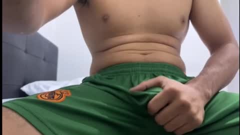 lion_20cm online show from November 10, 12:37 am