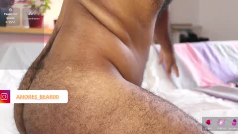 Snapshot of little_bear00 chatting on January 21, 2:44 pm Little bear - give my room a like thanks. online show from January 21, 2:44 pm