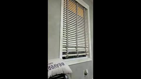 loci328 online show from February 9, 4:50 am