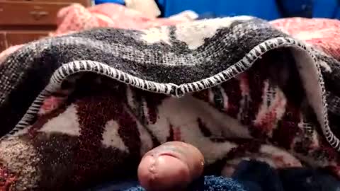 loganncky online show from February 18, 8:01 am