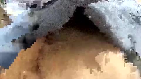 lolboss03 online show from December 26, 12:05 pm