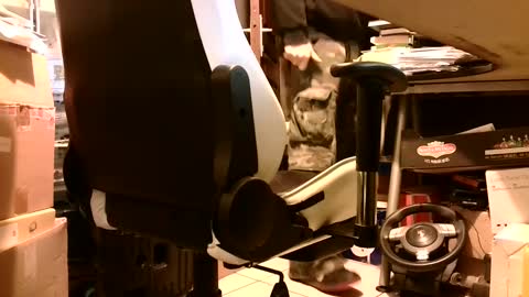 Snapshot of lonelypumabreizh chatting on February 5, 7:07 am Pumabreizh online show from February 5, 7:07 am