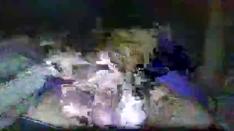 lonelyy528283 online show from February 15, 7:03 am