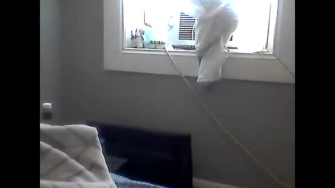 how can i plz u online show from February 24, 5:03 pm