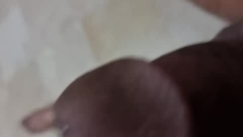 Love dicks online show from November 2, 6:23 pm