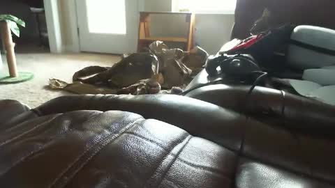 lovetobewatched6969 online show from September 13, 10:22 pm